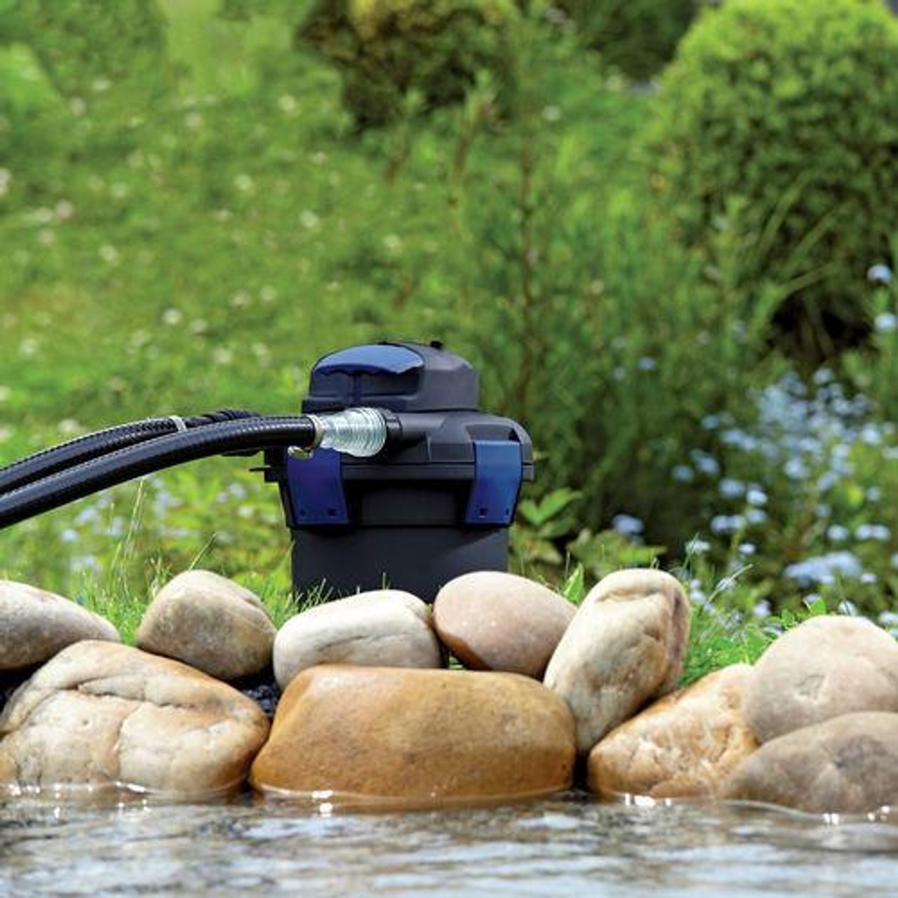 Healthy Aquatic Environment 2